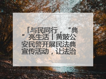 与民同行，“典”亮生活丨黄陂公安民警开展民法典宣传活动，让法治精神在群众心中落地生根